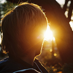 有稳定货源吗的电话在线轰炸网页版